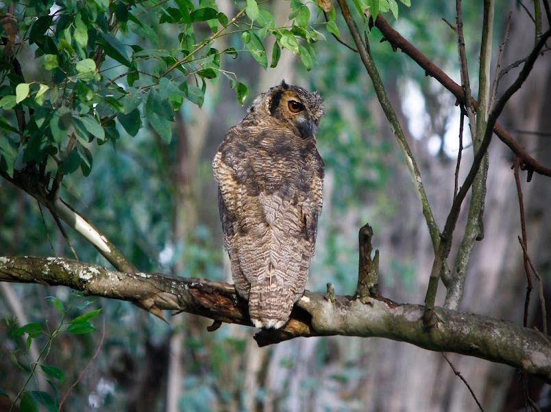 Reserva Municipal Las Piedras